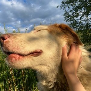 Meet your Posher, Embathy